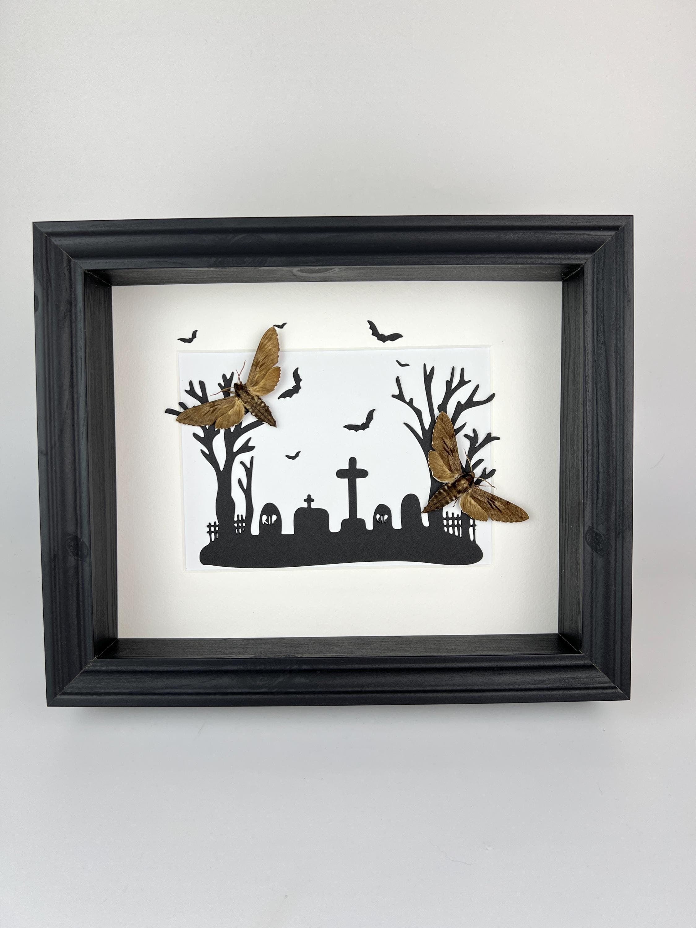 Sphinx Ligustri op halloween print in lijst