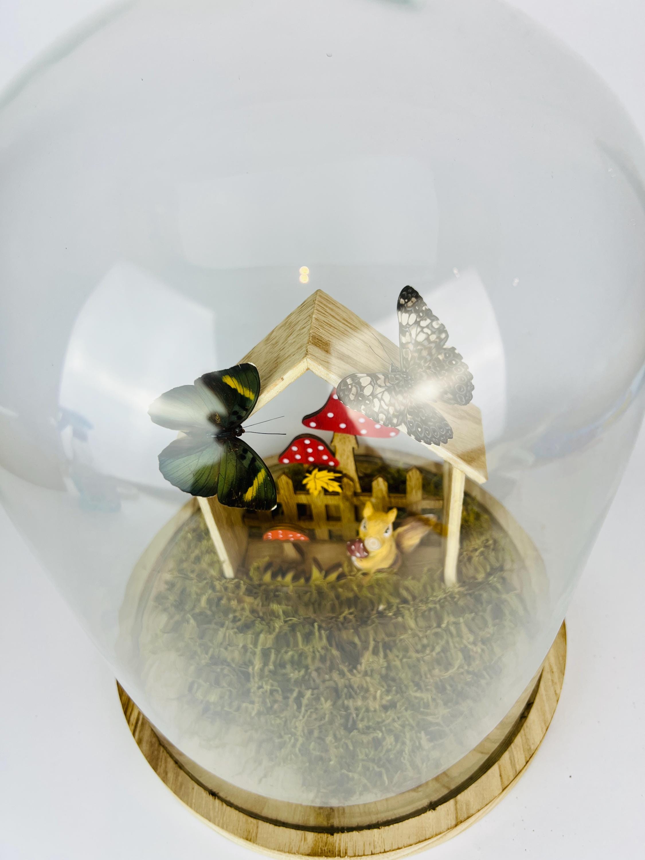 Twee vlinders op een tafereeltje in stolp