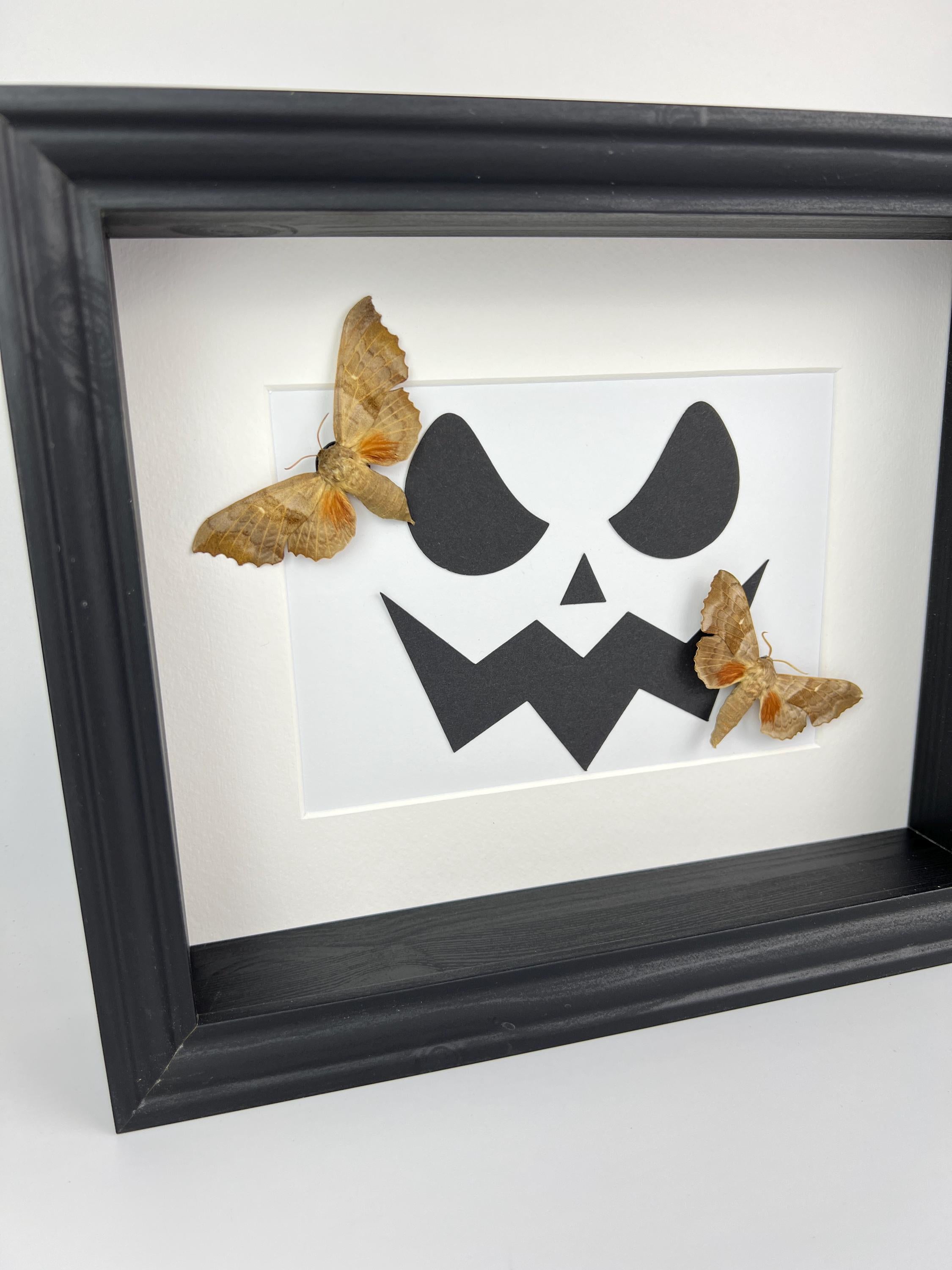 Motten op halloween print in lijst