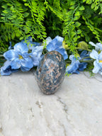 a close-up view of a blue flower and a rock, with the rock positioned on a white surface.