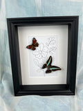 Aglais Io und Graphium Sarpedon in einem Rahmen von KEY LIME STORE
