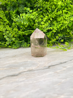 A clear quartz crystal rests on a marble surface, surrounded by lush green foliage.
