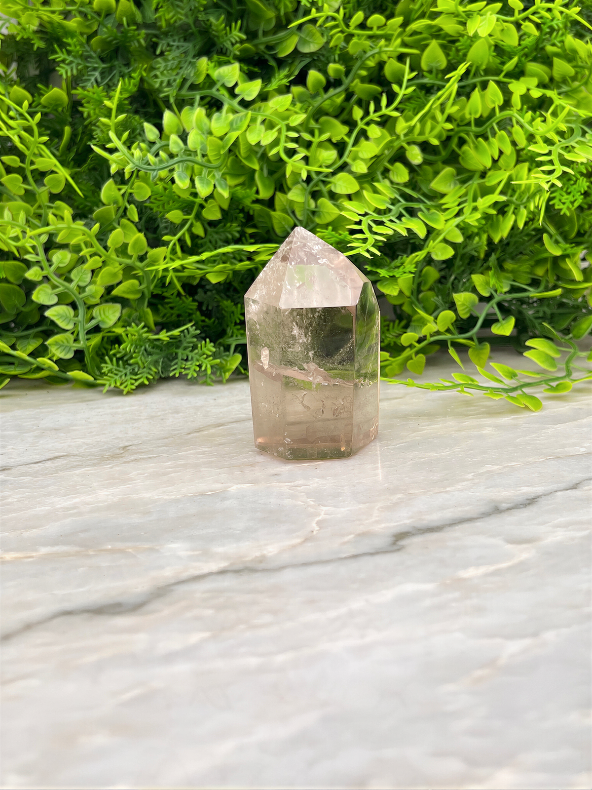 A clear quartz crystal rests on a marble surface, surrounded by lush green foliage.