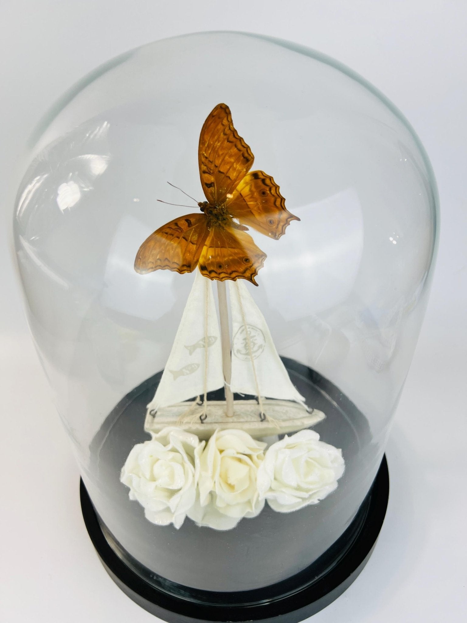 Vindula Dejone met bootje en rozen in stolp by KEY LIME STORE