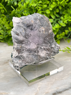 a large, irregularly shaped piece of gray rock with a purple hue, placed on a clear glass stand.