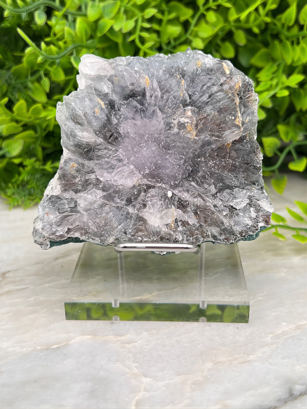 a piece of gray crystal or rock placed on a clear glass stand, surrounded by greenery.