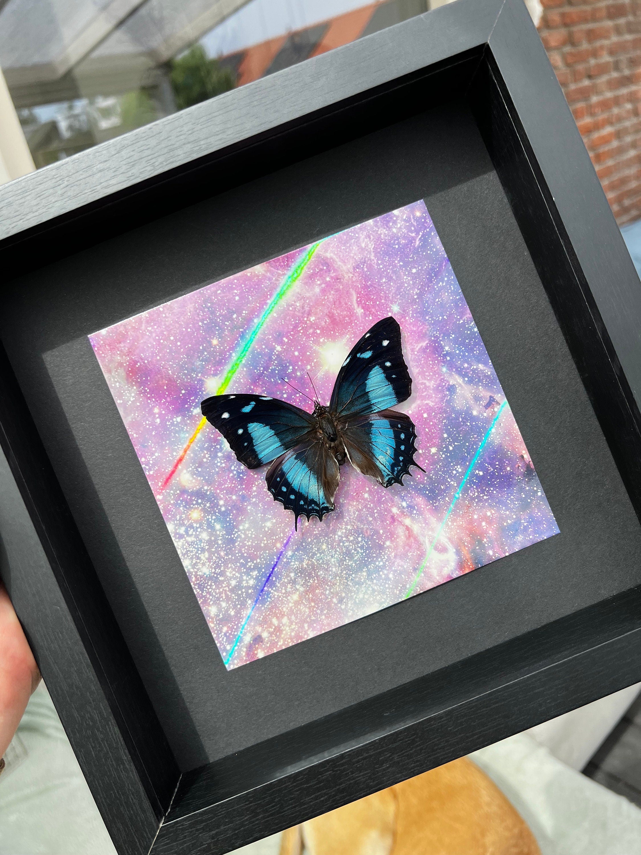 Baeotus Aeilus op print in lijst