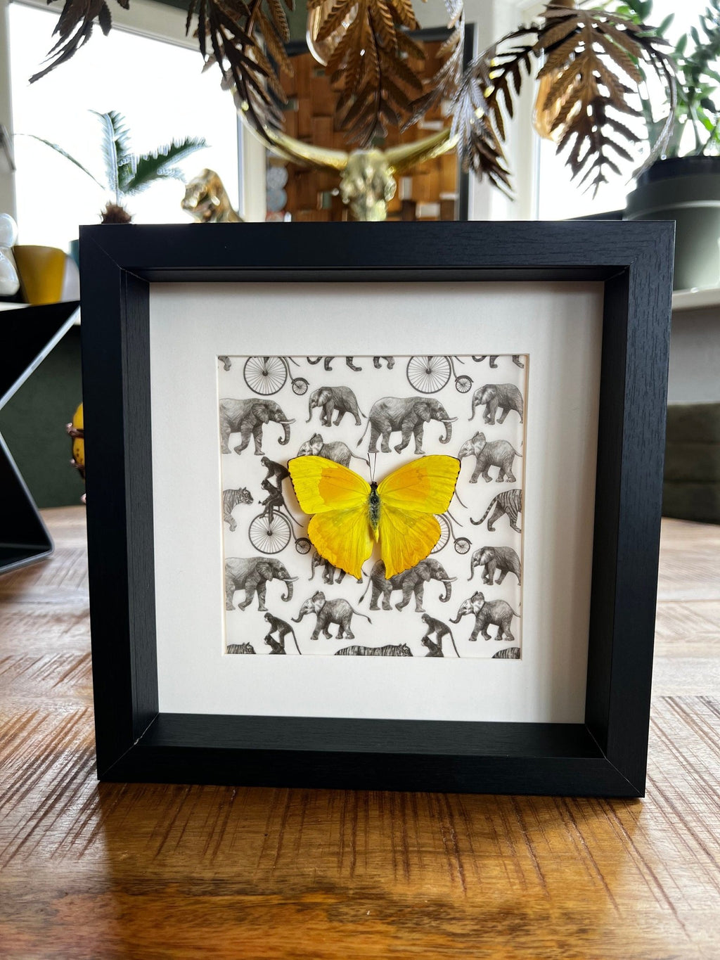 „Phoebis Philea“ als Druck in einem Rahmen von KEY LIME STORE