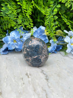 a close-up of a rock with a speckled surface, surrounded by a variety of blue flowers and green foliage.