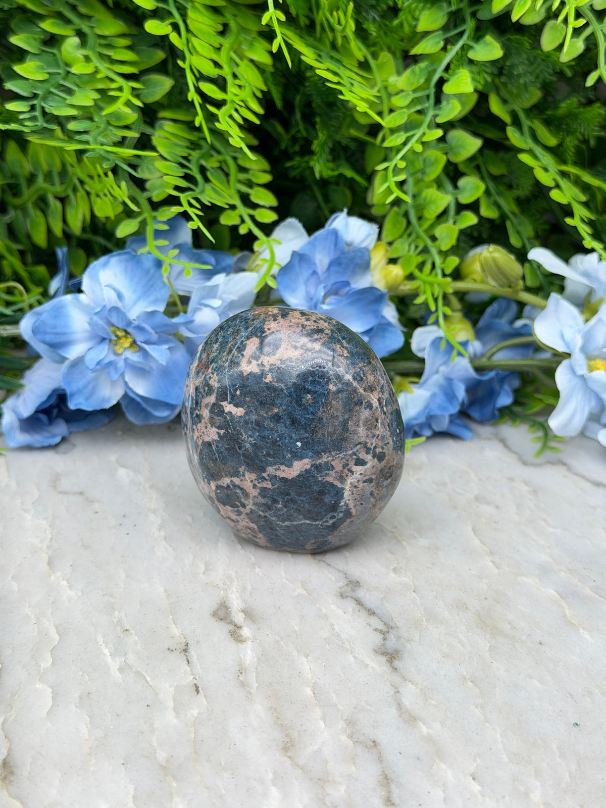 a close-up of a rock with a speckled surface, surrounded by a variety of blue flowers and green foliage.