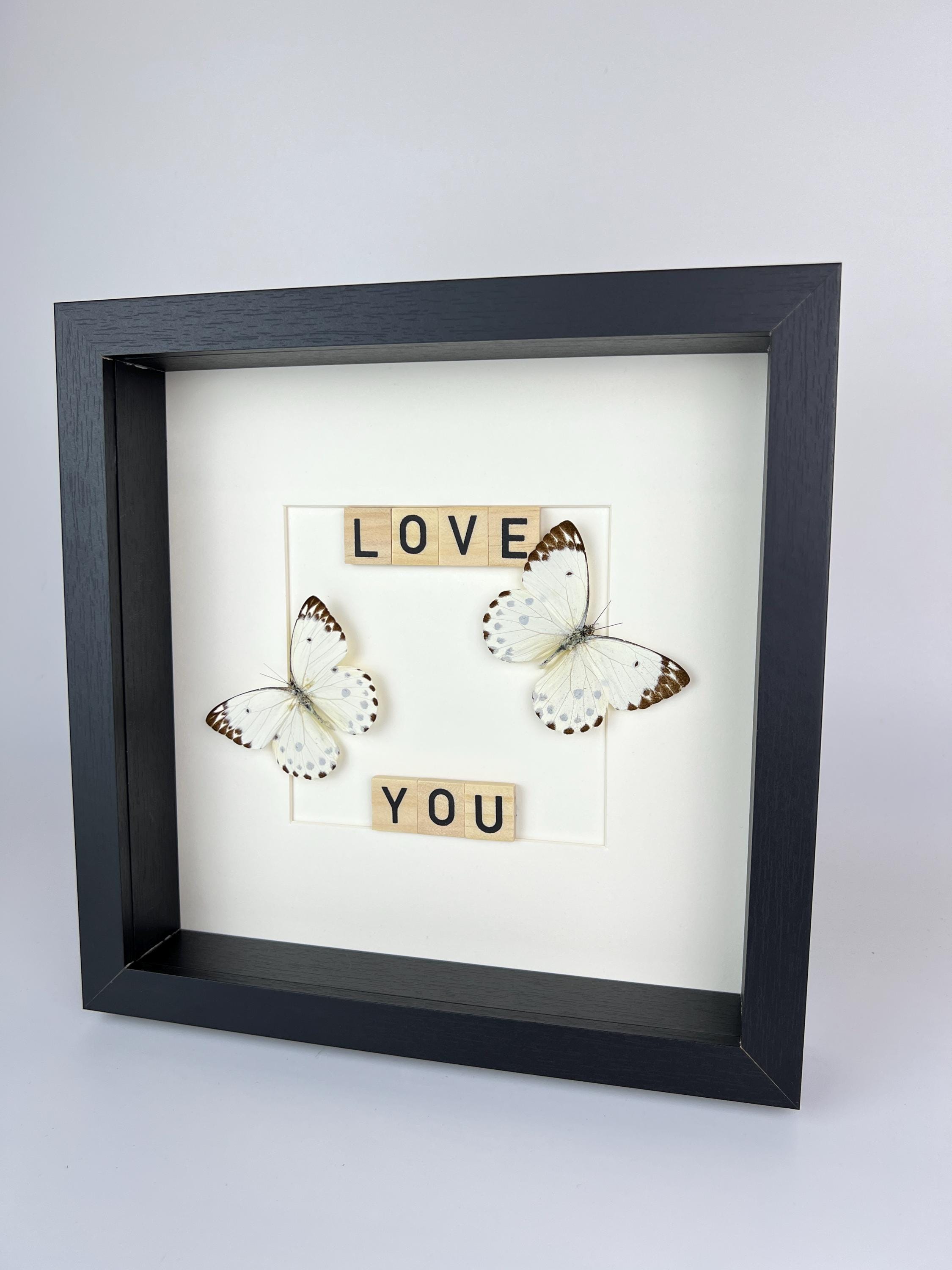 Hebemoia Leucippe-Schmetterling im Rahmen