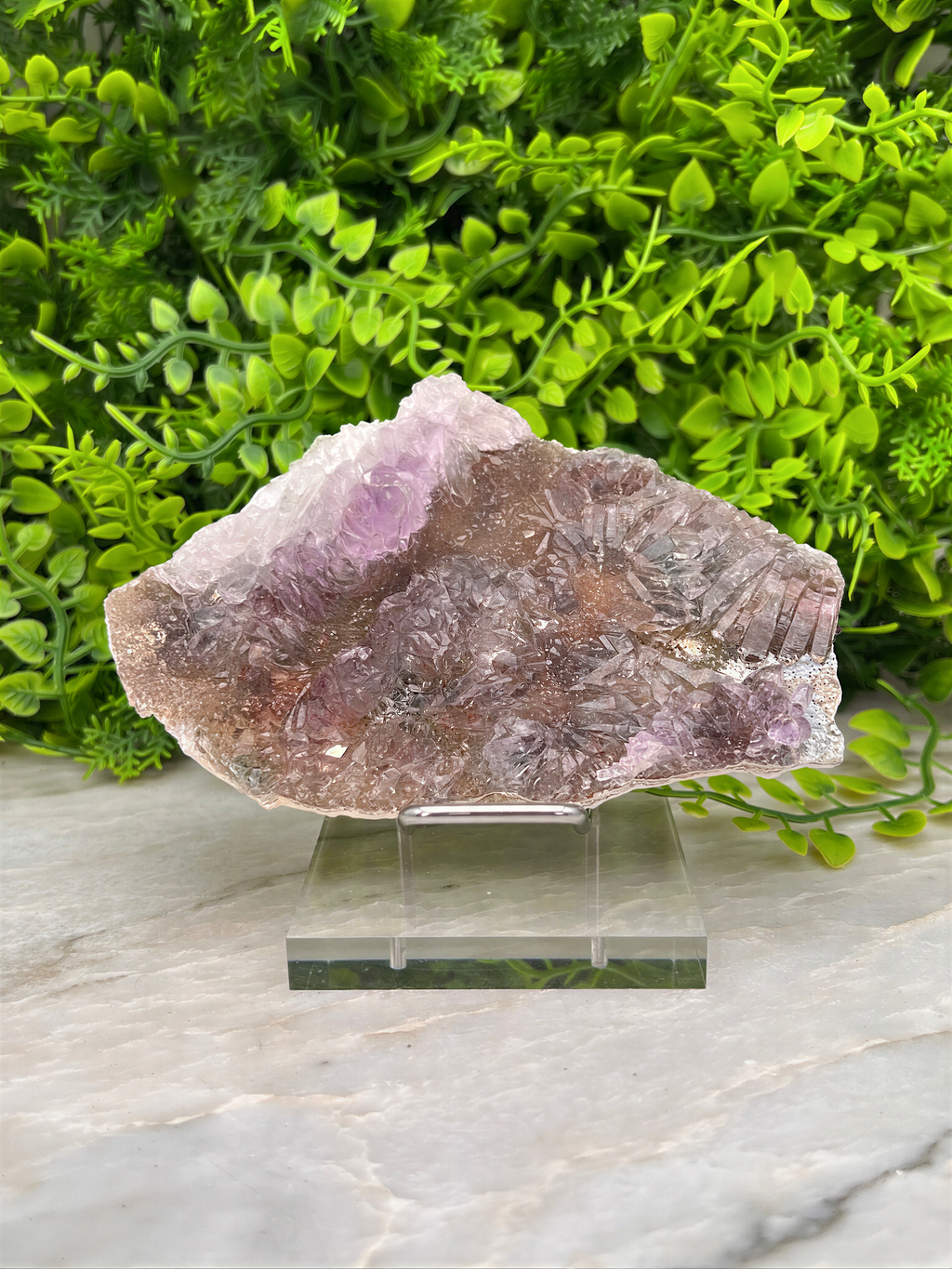 a piece of amethyst crystal displayed on a clear glass stand, surrounded by a lush green plant.