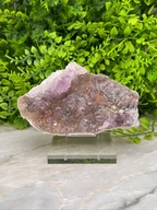 a piece of amethyst crystal displayed on a clear glass stand, surrounded by a lush green plant.