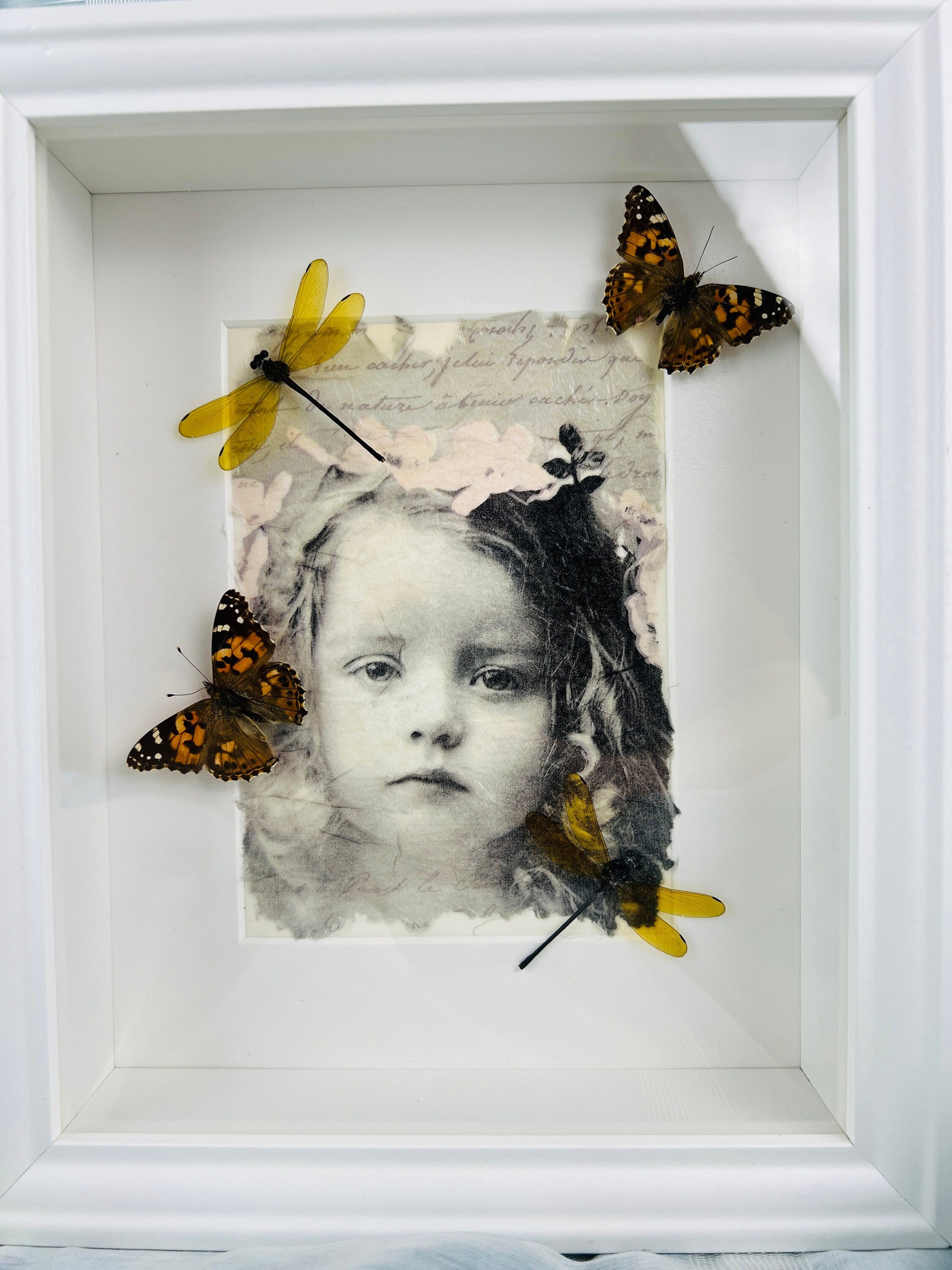 Vanessa Cardui en libelle op print in lijst