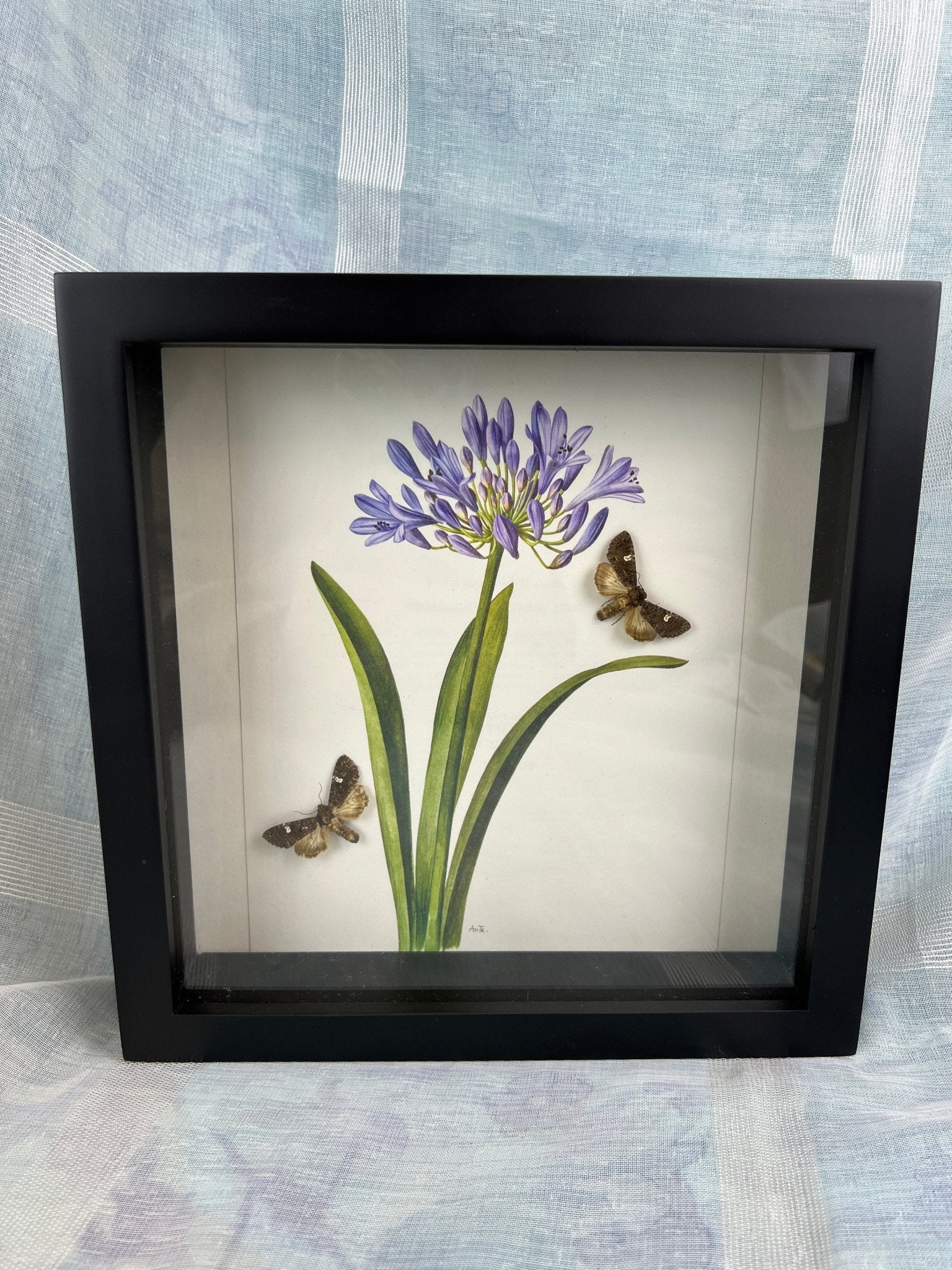 Motjes op print in lijst by KEY LIME STORE