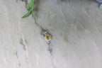 Hanger Gele Saffier rond (cz) 925 sterling zilver