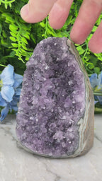 Amethyst (Uruguay) cluster-cut base (920 gr/12 cm)
