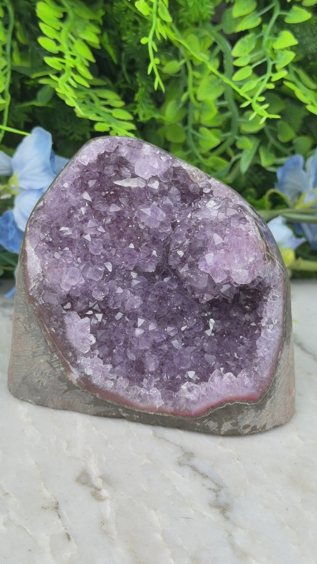 Amethist (Uruguay) cluster speciale formatie cut base (784 gr/10 cm)