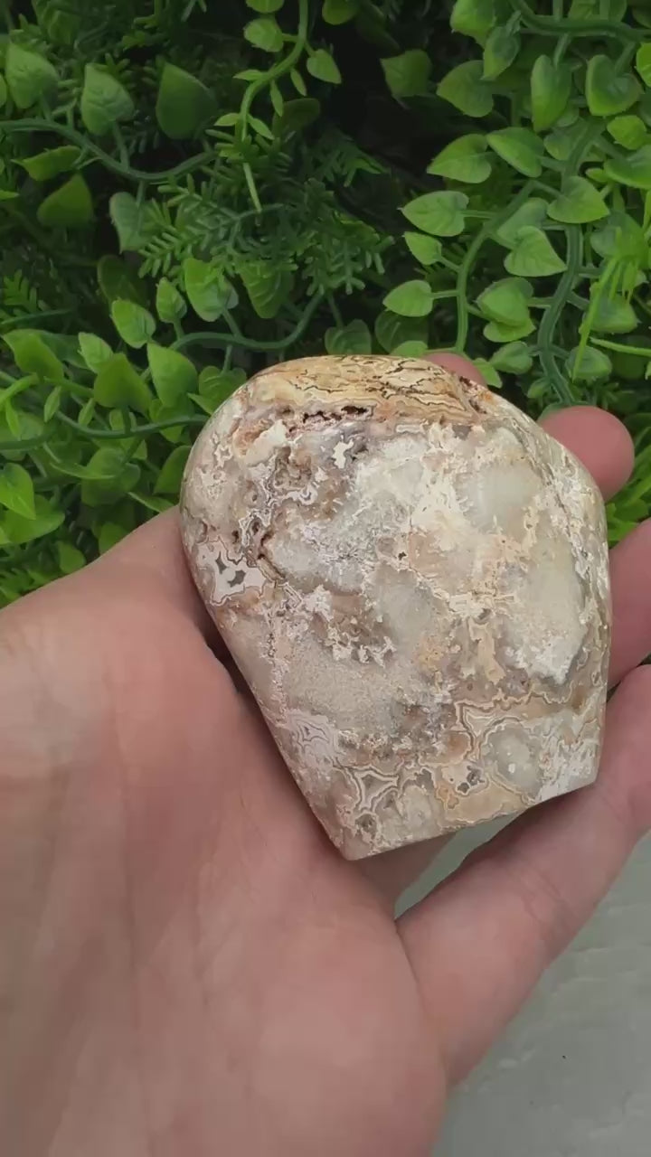 Video laden: Druze Crazy Lace Agaat cut base