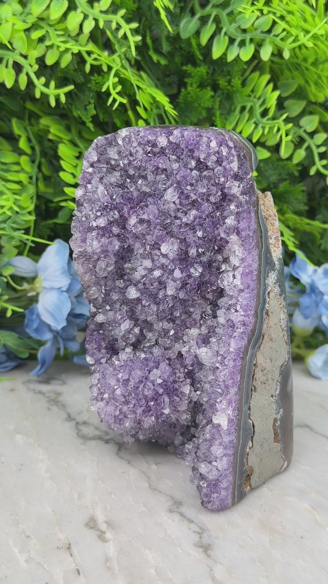 Amethist (Uruguay) cluster cut base (1172 gr/15 cm)