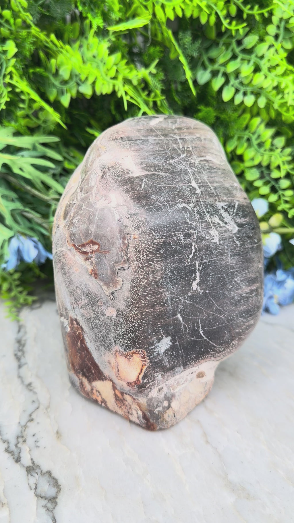 Petrified wood from Indonesia (2234 gr/15 cm)