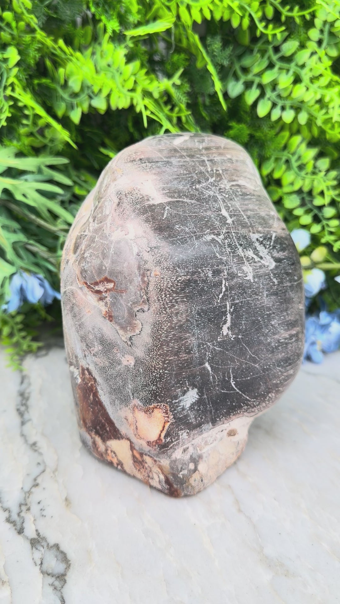 Versteend hout uit Indonesië (2234 gr/15 cm)