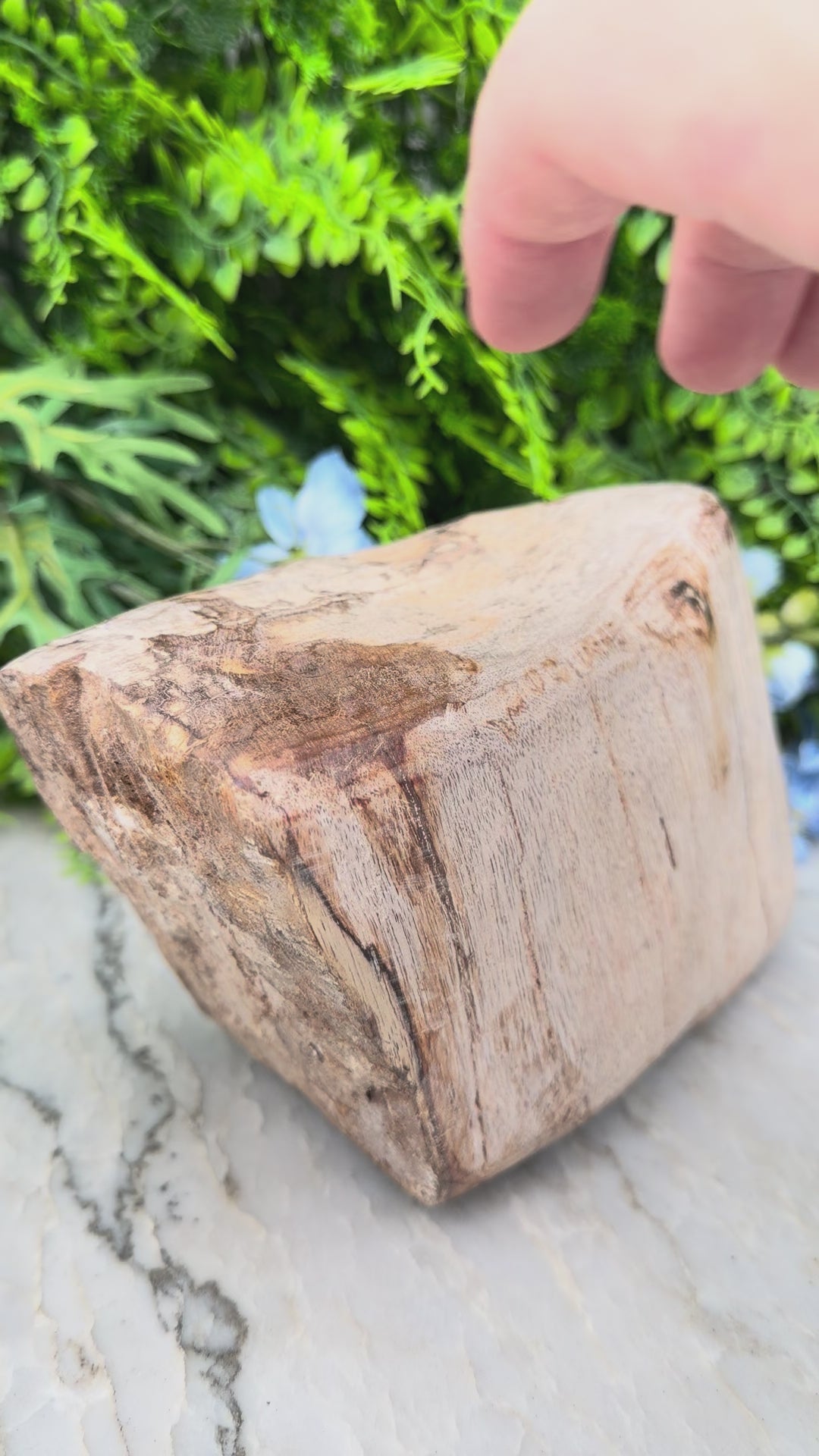 Versteend hout uit Indonesië (2760 gr/19 cm)