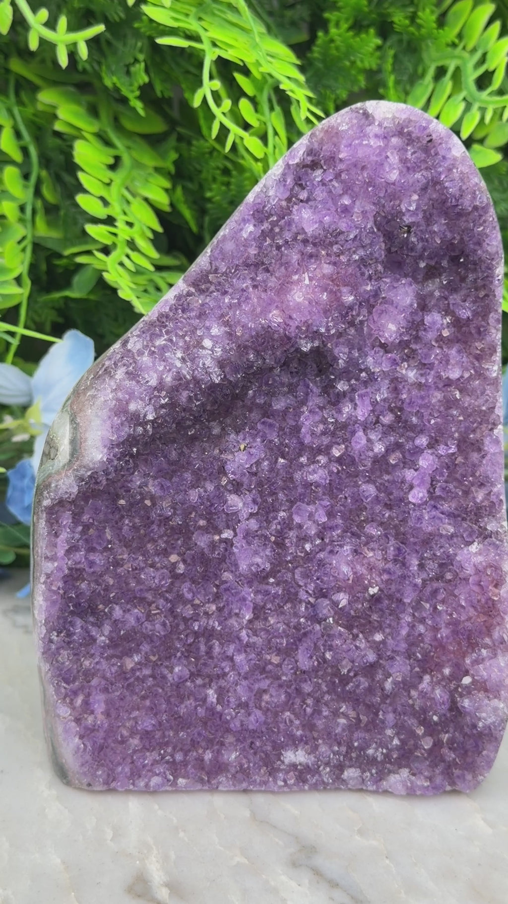 Amethist (Uruguay) cluster cut base (1262 gr/14 cm)