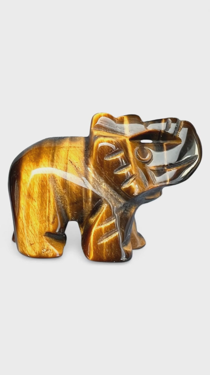 Chargement de la vidéo : Œil de tigre éléphant 3 cm